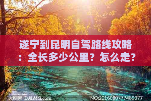 遂宁到昆明自驾路线攻略：全长多少公里？怎么走？多远？