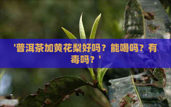 '普洱茶加黄花梨好吗？能喝吗？有吗？'