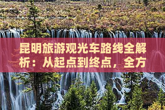 昆明旅游观光车路线全解析：从起点到终点，全方位游览昆明市区更佳线路推荐