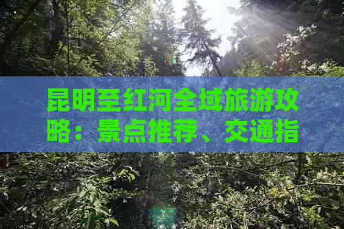 昆明至红河全域旅游攻略：景点推荐、交通指南及住宿建议一应俱全