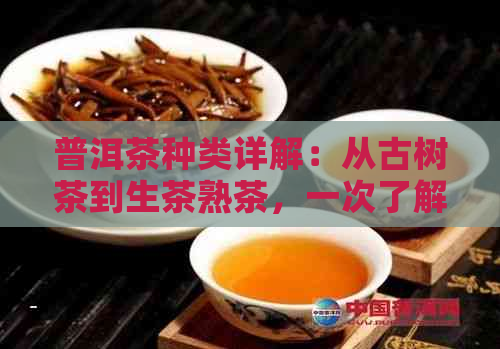 普洱茶种类详解：从古树茶到生茶熟茶，一次了解所有你想知道的！