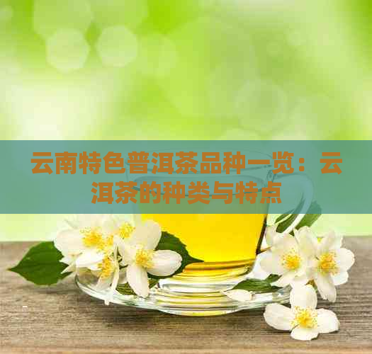 云南特色普洱茶品种一览：云洱茶的种类与特点