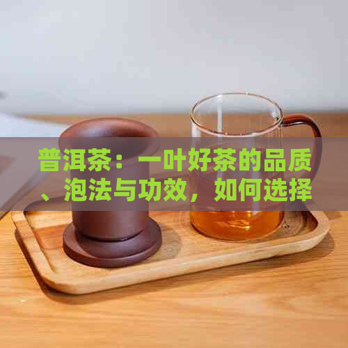 普洱茶：一叶好茶的品质、泡法与功效，如何选择与品鉴？