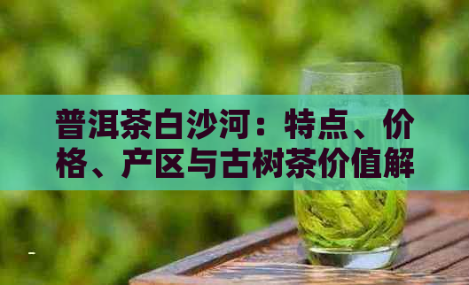 普洱茶白沙河：特点、价格、产区与古树茶价值解析