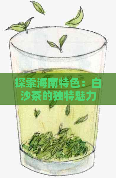 探索海南特色：白沙茶的独特魅力与品种分类