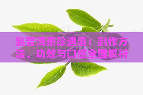 熟普洱茶珍速溶：制作方法、功效与口感全面解析，让你轻松选择与品鉴