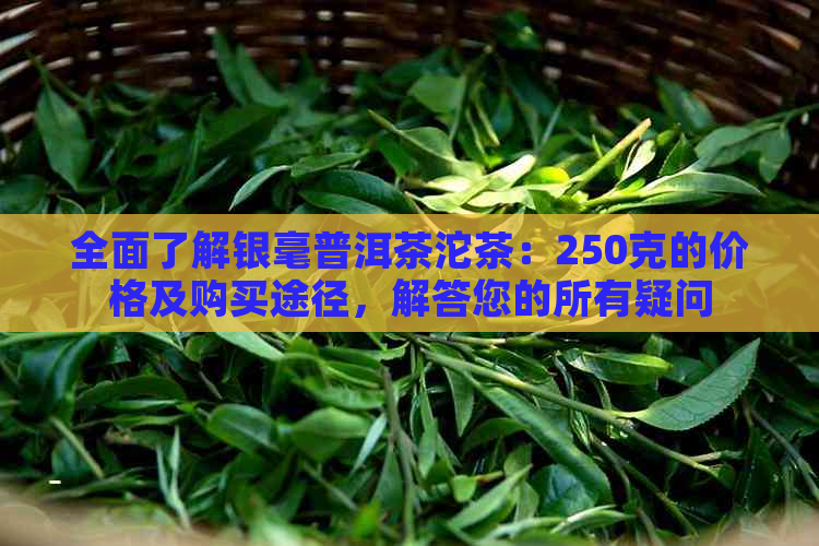 全面了解银毫普洱茶沱茶：250克的价格及购买途径，解答您的所有疑问