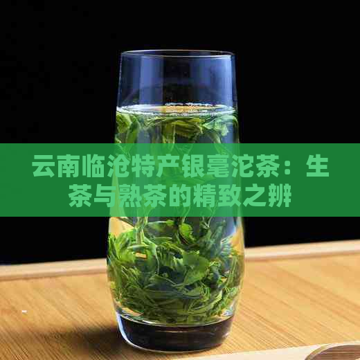 云南临沧特产银毫沱茶：生茶与熟茶的精致之辨