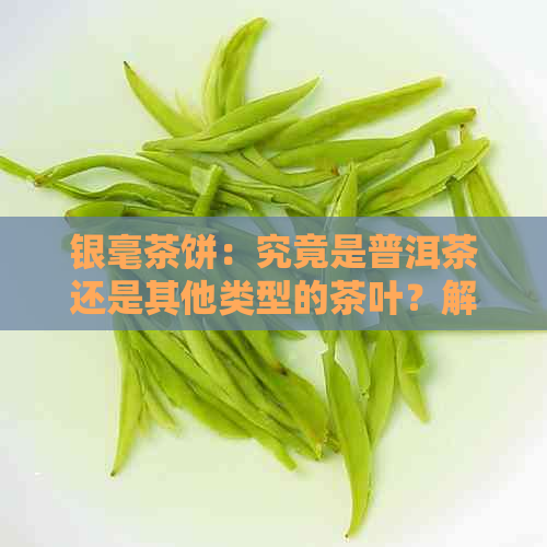 银毫茶饼：究竟是普洱茶还是其他类型的茶叶？解答所有疑问