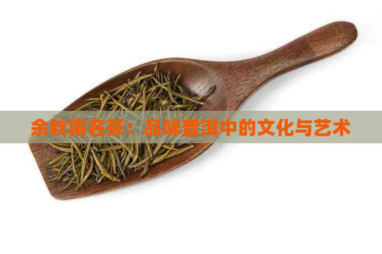 余秋雨名茶：品味普洱中的文化与艺术