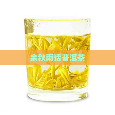 余秋雨话普洱茶