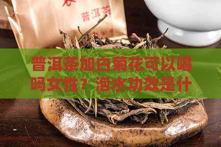 普洱茶加白菊花可以喝吗女性？泡水功效是什么？