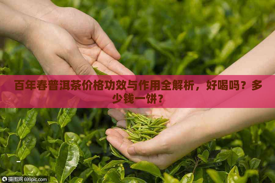 百年春普洱茶价格功效与作用全解析，好喝吗？多少钱一饼？