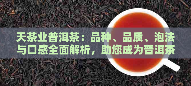 天茶业普洱茶：品种、品质、泡法与口感全面解析，助您成为普洱茶专家