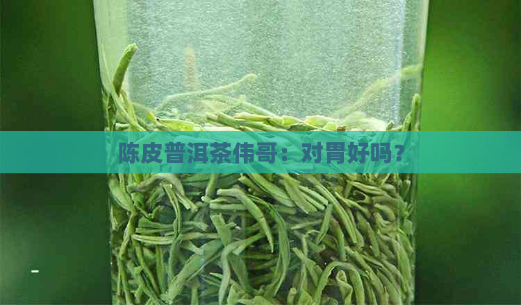 陈皮普洱茶伟哥：对胃好吗？