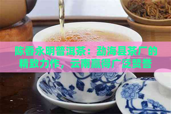 陈香永明普洱茶：勐海县茶厂的精致力作，云南赢得广泛赞誉