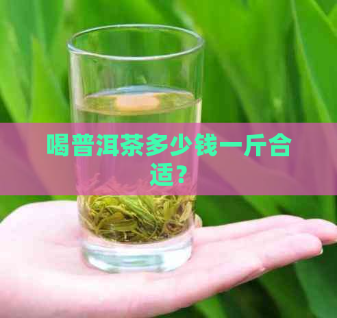 喝普洱茶多少钱一斤合适？