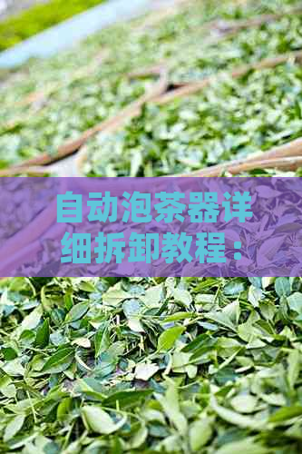 自动泡茶器详细拆卸教程：从茶吧设备到泡茶神器的一步一步解析