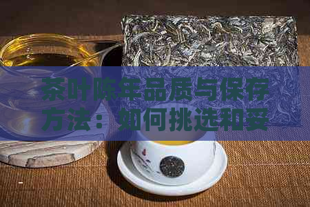 茶叶陈年品质与保存方法：如何挑选和妥善保存老茶