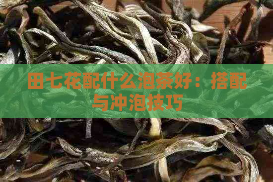 田七花配什么泡茶好：搭配与冲泡技巧