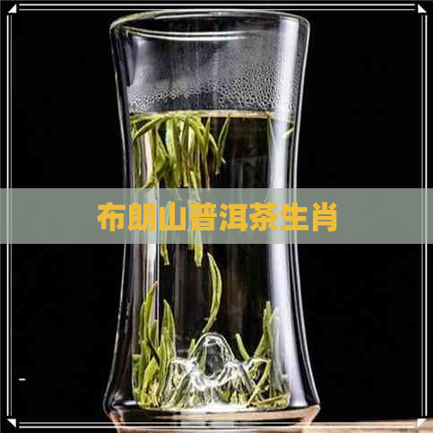 布朗山普洱茶生肖