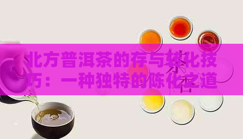 北方普洱茶的存与转化技巧：一种独特的陈化之道