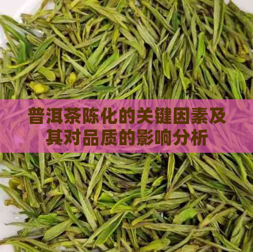 普洱茶陈化的关键因素及其对品质的影响分析