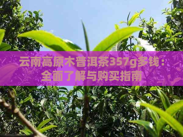 云南高原木普洱茶357g多钱：全面了解与购买指南