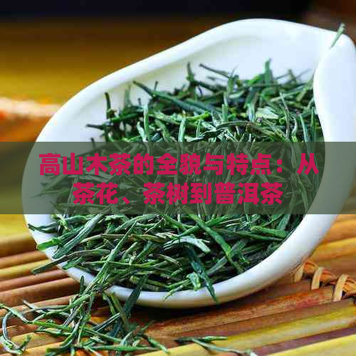 高山木茶的全貌与特点：从茶花、茶树到普洱茶