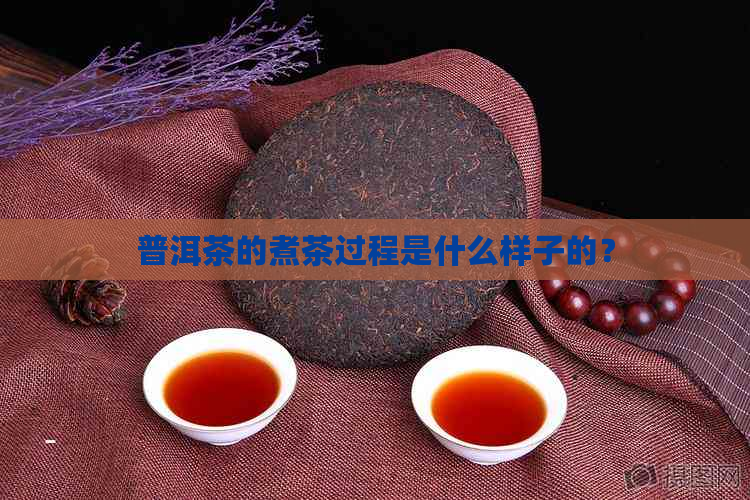 普洱茶的煮茶过程是什么样子的？