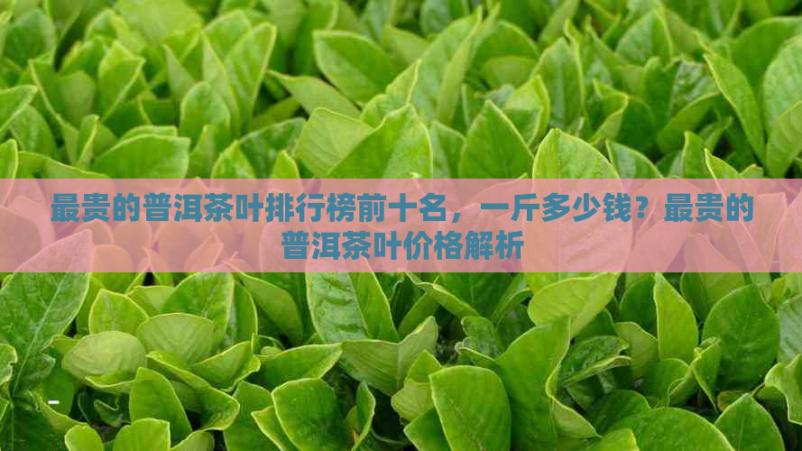 最贵的普洱茶叶排行榜前十名，一斤多少钱？最贵的普洱茶叶价格解析