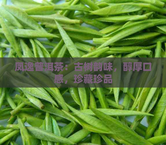 凤逸普洱茶：古树韵味，醇厚口感，珍藏珍品