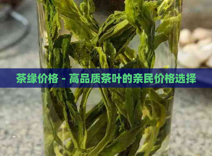 茶缘价格 - 高品质茶叶的亲民价格选择