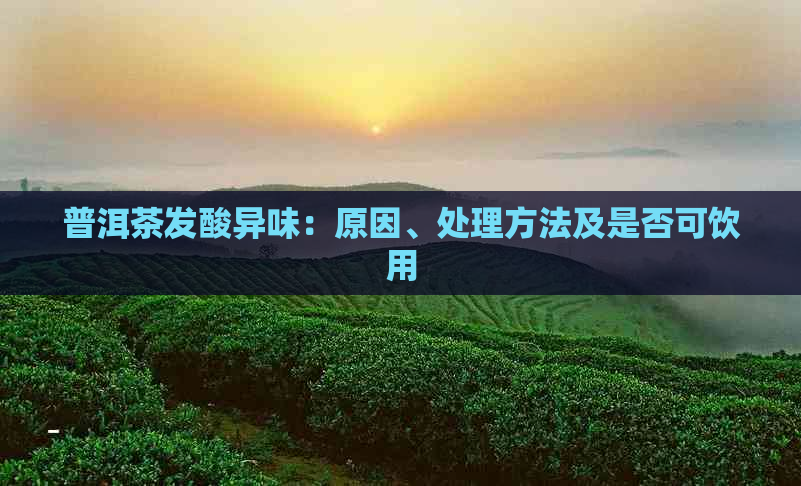 普洱茶发酸异味：原因、处理方法及是否可饮用