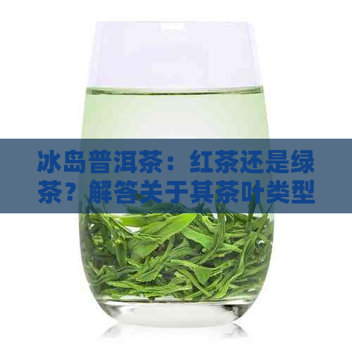 冰岛普洱茶：红茶还是绿茶？解答关于其茶叶类型的疑问