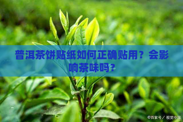 普洱茶饼贴纸如何正确贴用？会影响茶味吗？