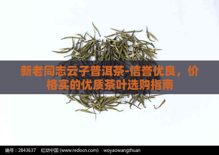 新老同志云子普洱茶-信誉优良，价格实的优质茶叶选购指南