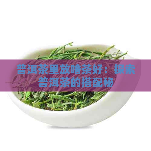 普洱茶里放啥茶好：探索普洱茶的搭配秘