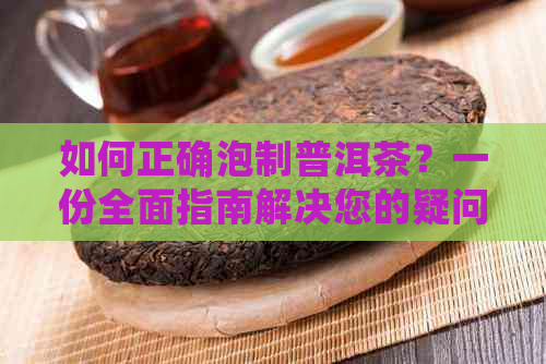 如何正确泡制普洱茶？一份全面指南解决您的疑问