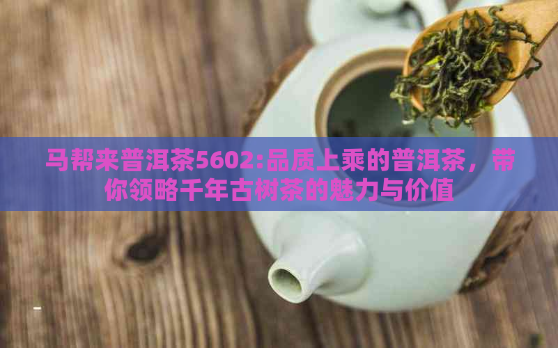 马帮来普洱茶5602:品质上乘的普洱茶，带你领略千年古树茶的魅力与价值