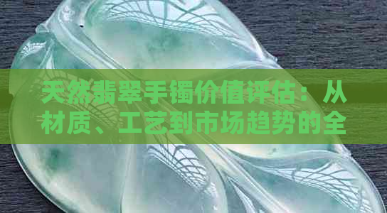 天然翡翠手镯价值评估：从材质、工艺到市场趋势的全面解析