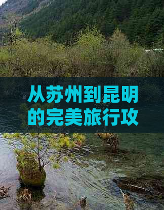 从苏州到昆明的完美旅行攻略：景点推荐、交通方式和美食体验