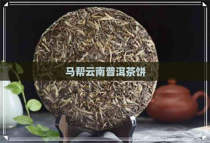 马帮云南普洱茶饼