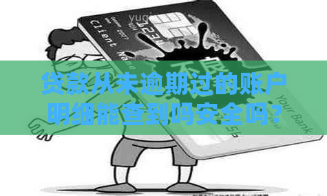 贷款从未逾期过的账户明细能查到吗安全吗？如何查询？多久会消除？