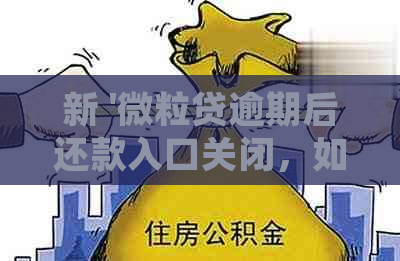 新 '微粒贷逾期后还款入口关闭，如何重新启用并避免逾期问题？'