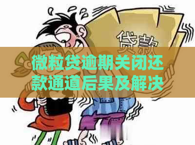 微粒贷逾期关闭还款通道后果及解决方法