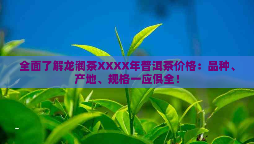 全面了解龙润茶XXXX年普洱茶价格：品种、产地、规格一应俱全！