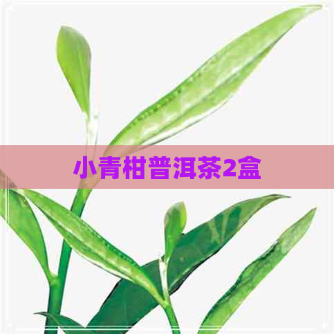 小青柑普洱茶2盒