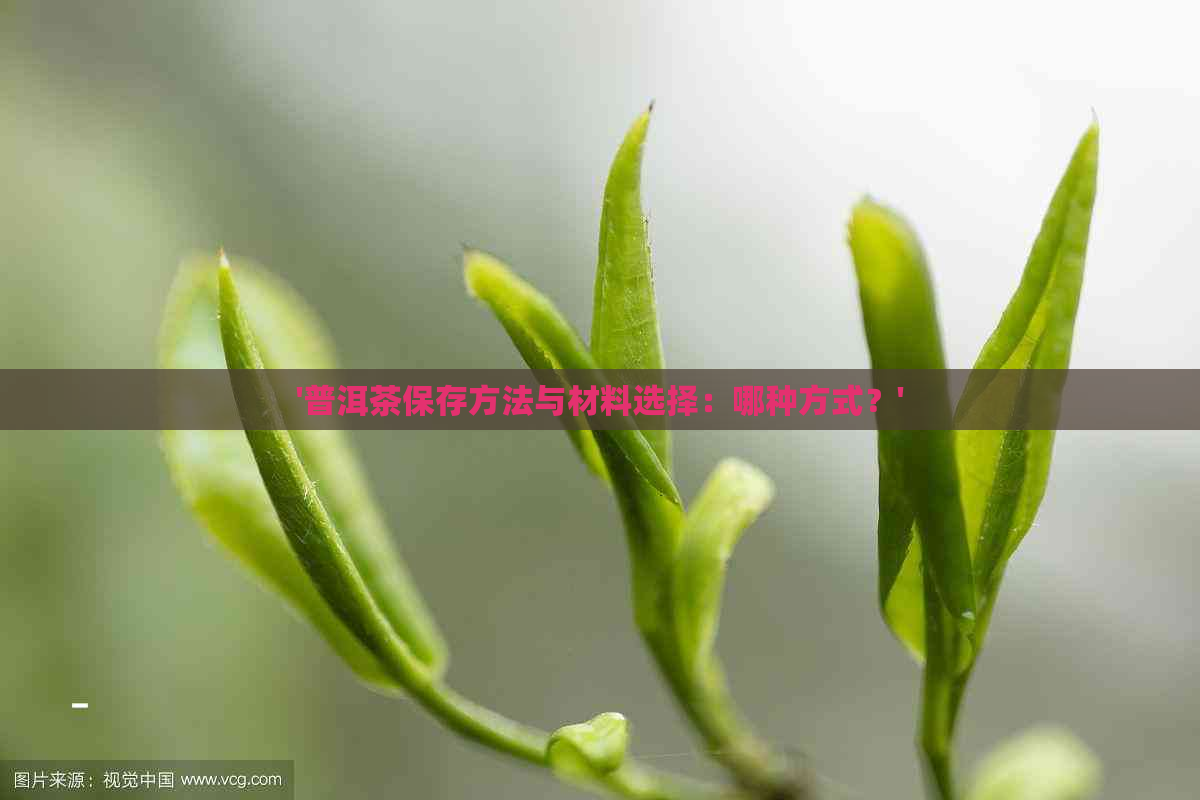 '普洱茶保存方法与材料选择：哪种方式？'