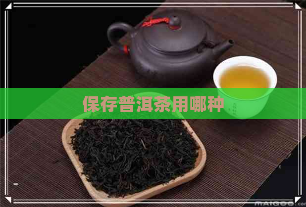 保存普洱茶用哪种